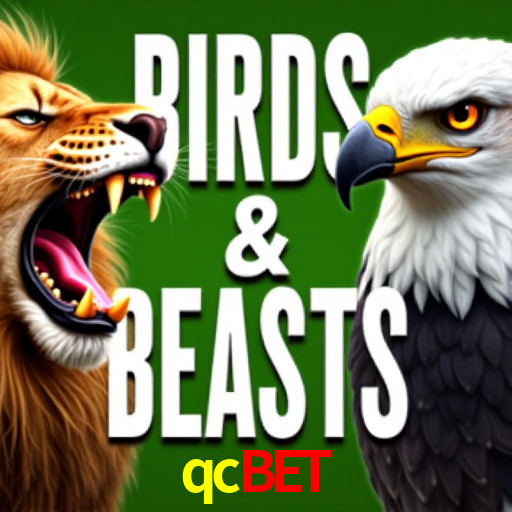 Apostas Esportivas na qcbet: Um Guia Completo